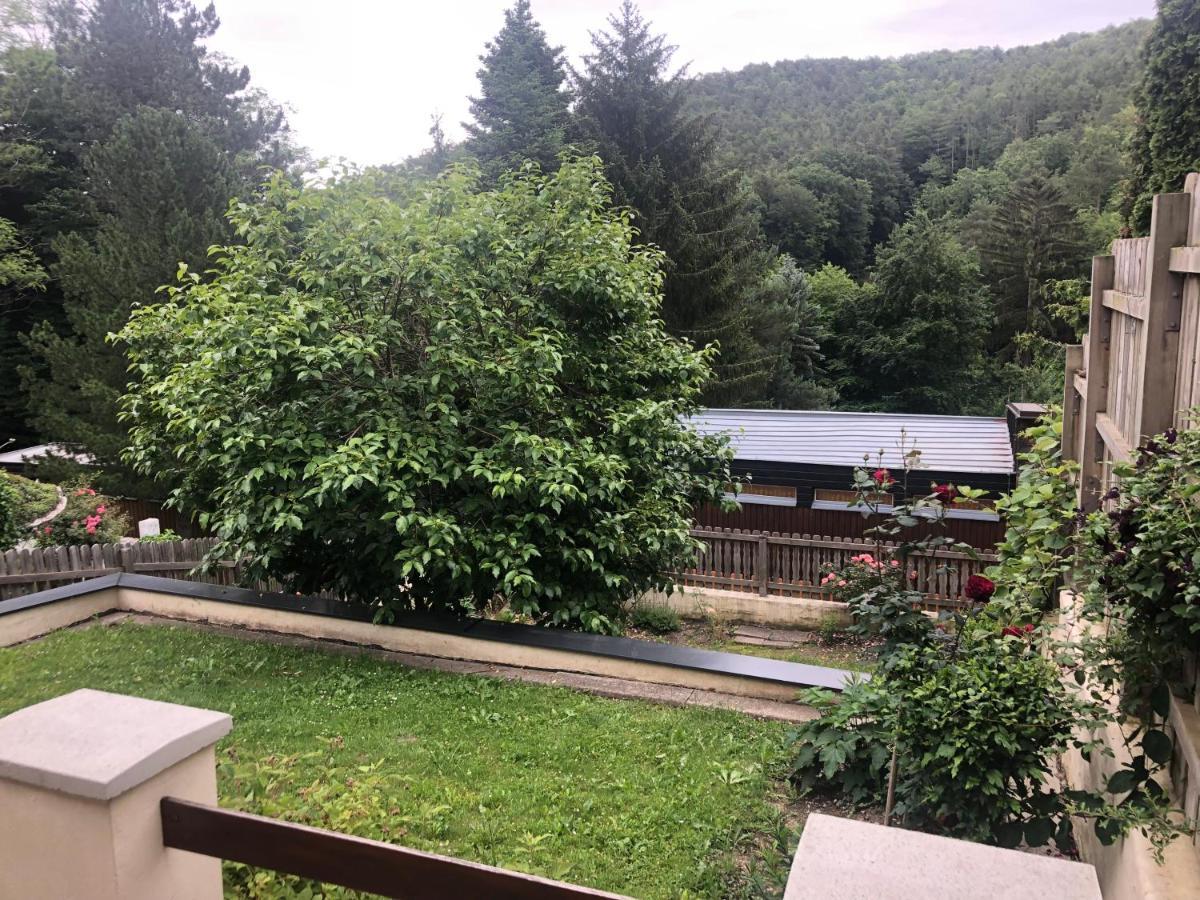 Forchtenstein Villa Rafael מראה חיצוני תמונה